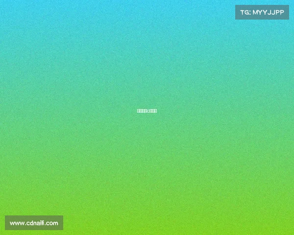 自由搏击c级赛事